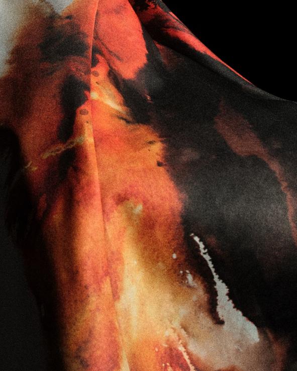 迷的关注 迷的关注